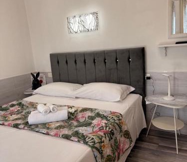 Navile House | Sophia