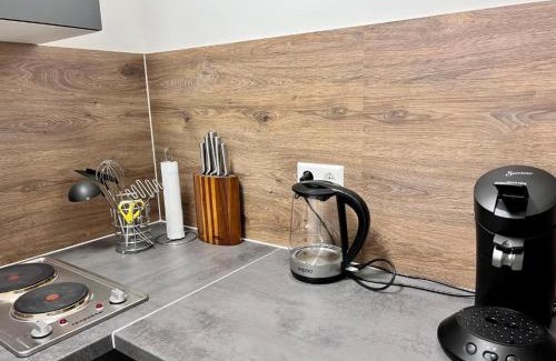 Karlsruhe City Centre Apartment | Sophie Flair Apartments 2