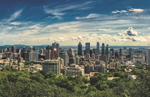 Mile End Apartment | Spacious 1 Bedroom Apartment in the Heart of the Mile End