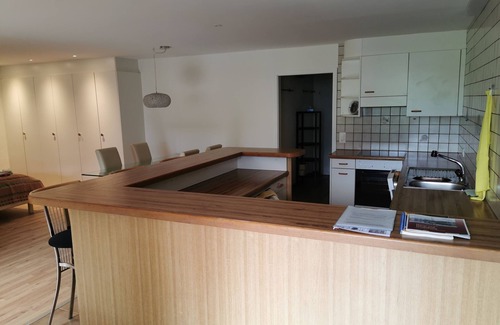 Horw Condo | spacious 1-room apartment (65 sqm) with kitchen, separate bathroom with shower
