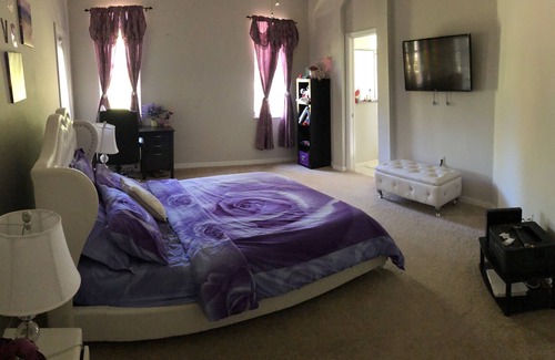 New Tampa House | Spacious 4B2B House in New Tampa - minutes to i-75 and i-275