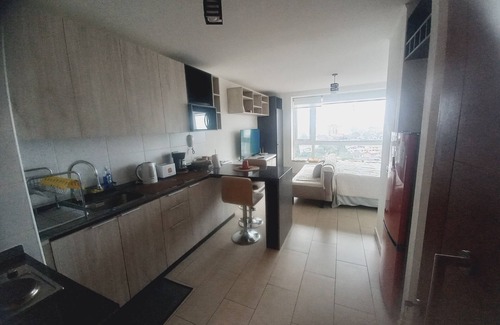 Valdivia Apartment | Spacious and beautiful studio apartment in Valdivia. Unbeatable location and equipment!