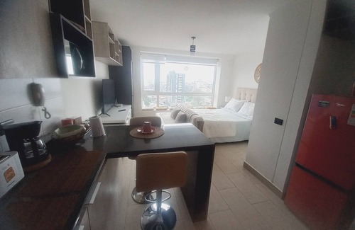 Valdivia Apartment | Spacious and beautiful studio apartment in Valdivia. Unbeatable location and equipment!