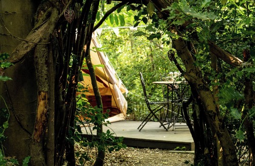 Burghclere RV Rental | Spacious and cosy 6 meter Bedouin Bell Tent in a secluded woodland clearing