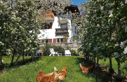 Lagundo Apartment | Spacious Apartment “Lafreid Algund” near Merano with Mountain View, Wi-Fi & Garden