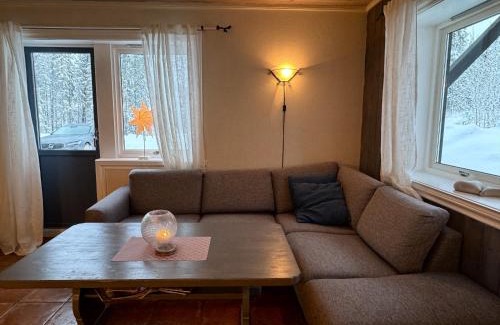 Hemsedal Apartment | Spacious apartment near Hemsedal ski resort