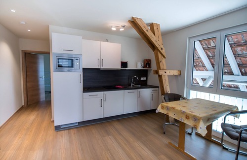 Immenstaad am Bodensee Apartment | Spacious 2-room apartment directly on the lake with private lake access and lake property
