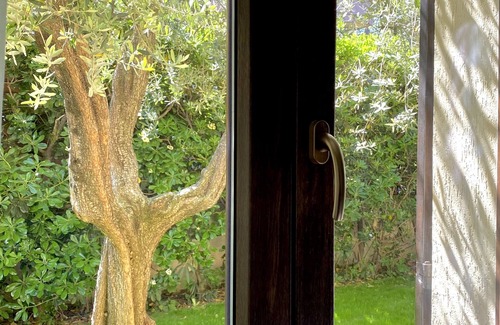 Colombare Apartment | Spacious JOLLY three-room apartment equipped with all comforts, with garden and terrace.