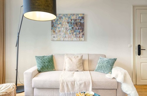 Ghent Apartment | Spacious & Luminous Gem in Historic Ghent Building