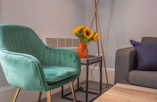 Oxford Apartment | Spacious, Pet-friendly 1DBL Bed by South Park