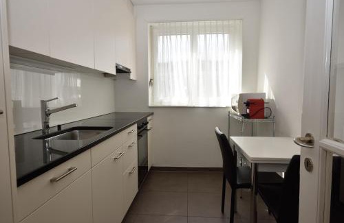 Muhlebach Apartment | Spacious studio near lake and opera - Mill 512