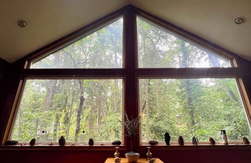 Friendly House | Spacious, Tranquil “Treehouse” with Sauna and Fireplace