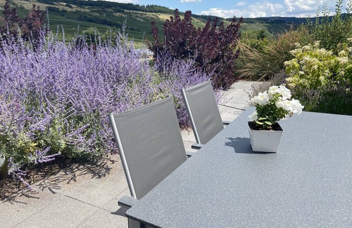 Lorsch Apartment | Spacious vacation apartment with a view of the vineyards in Mehring