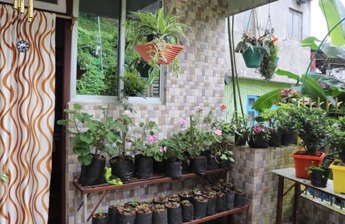 Darjeeling Apartment | Sparrow Nest Homestay: Where Comfort Takes Flight and Hospitality Singsn