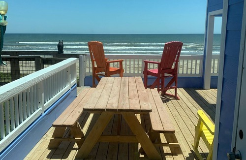 Terramar Beach House | Special Oct 1-7! OCEANFRONT! The Enchanted Sea Star!