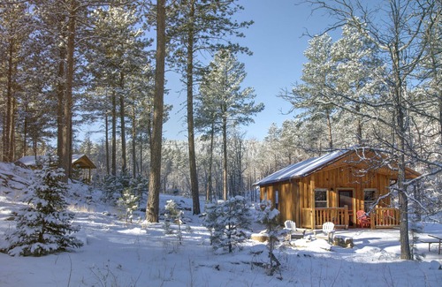 Rapid City Cabin | Spectacular setting, amenities, and centrally located to Mt. Rushmore and Custer State Park, and hiking. WiFi. Excellent cell service (Verizon & ATT). Private campfire and fireplace. Off-season discounts. No extra fees.
