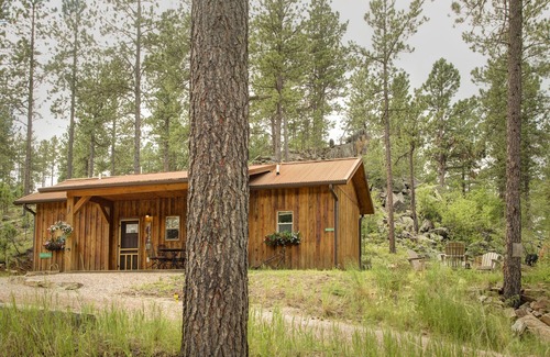 Rapid City Cabin | Spectacular setting, amenities, and centrally located to Mt. Rushmore and Custer State Park, and hiking. Wi-Fi. Excellent cell service (Verizon & ATT). Private campfire and fireplace. Off-season discounts. No extra fees.
