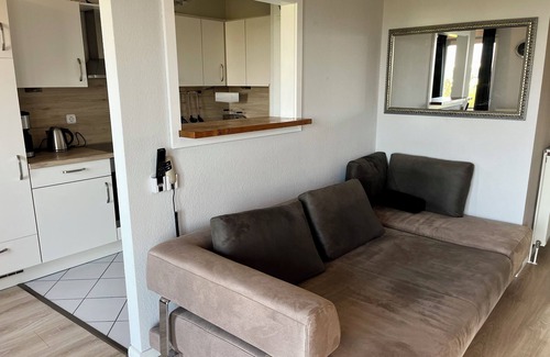Gruenerdeich Apartment | Spektakulärer Elbblick Direkt Aufs Wasser aus der Wohnung Oder von den Balkonen