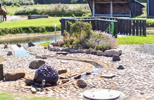 Nymindegab Apartment | Spend your vacations on this beautiful horse farm, a dream for the whole family!