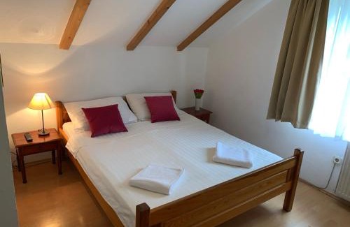 Zlatibor Resort | Sport trim