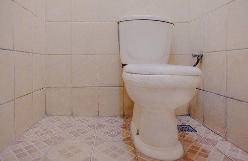 Briket Hotel | SPOT ON 2448 Hotel Tlogorejo 2