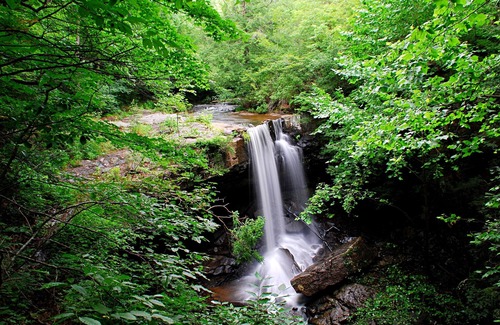 Monteagle House | Spring Specials! Shea's Chalet-Quaint-Cozy - Close to Everything!