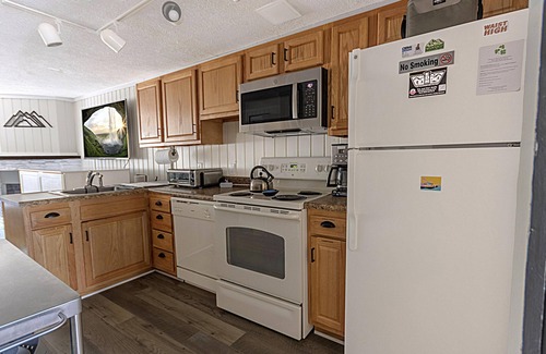 Snowshoe House | SR 21A: Summer modern mountain retreat! EV charger & dogs welcome!