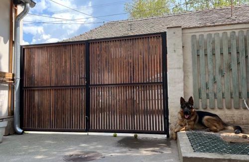 Sremski Karlovci House | Sremski Karlovci Center Homestay