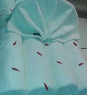 Palayankottai Hotel | Sri Janakiram Hotels