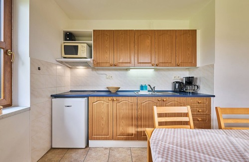 Starkov House | Stárkov by Interhome