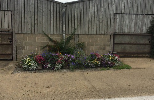 Sedgefield Cottage | Stables at Todds House Farm