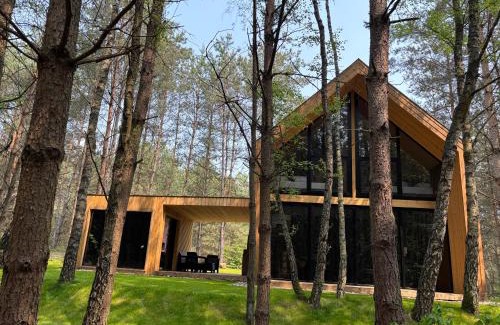 Stara Kiszewa Villa | "STAVA" domy wypoczynkowe