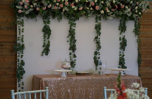Dixon Cottage | Stay and host at Zenith Cottage