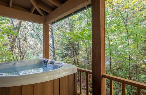 Rhododendron Cabin | Stay before 11/02! get the 3RD night FREE! Hot tub, river access A/C