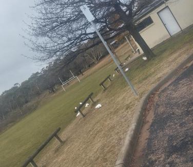 Jindabyne House | Stay in a tent in beautiful Jindabyne !