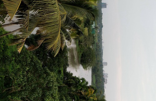 Kakkanad House | Stay In the city. But in a village ambience. Over looking the forest