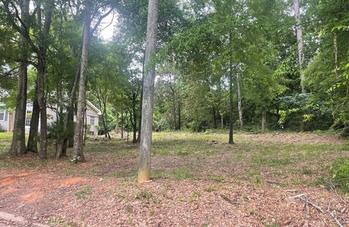 Meridian House | Stay on Magnolia Hill 3BR Cottage in Meridian, Mississippi with Southern Charm