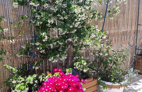 Pescara Bed & Breakfast | Stay with Comfort Double room with en suite bathroom and balcony.