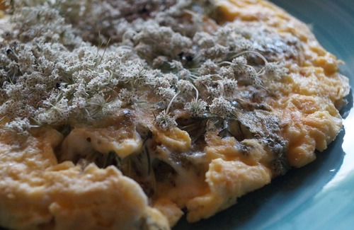 Foligno Bed & Breakfast | Stay with the alpacas