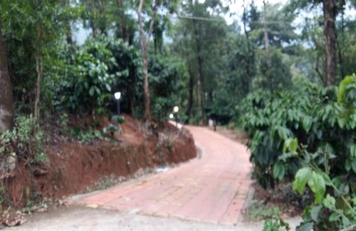 Madikeri Resort | STAYMAKER S Reddy's Homestay