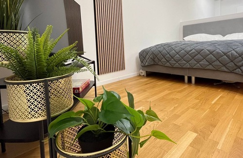 Paderborn Apartment | ☆STAYWELL: Studio For 2 I Kitchen I Parking I Netflix