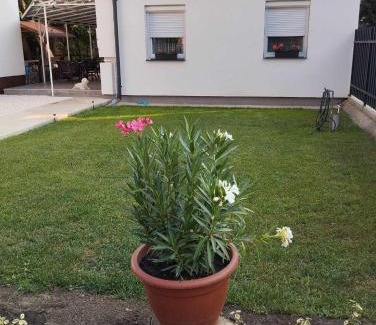 Hajduszoboszlo House | Stella Apartman