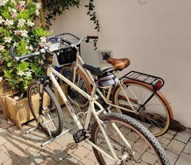 Livorno Apartment | Stella Marina a 100 MT dal mare