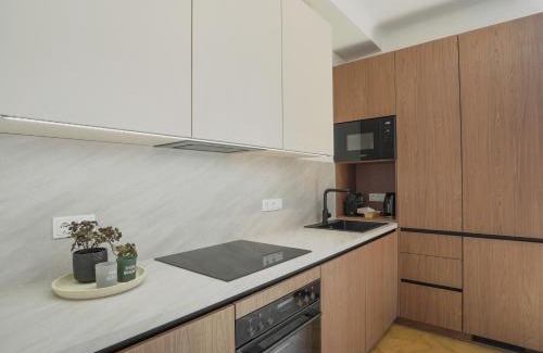 Innere Stadt Apartment | Stephansdome Luxury Grand Apartment