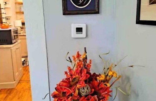 Smithville House | Steps to Downtown, Parks, and it's Dog-friendly!