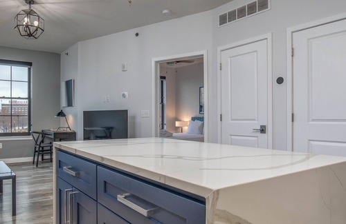 Soulard Apartment | STL - 2424 S 9th #410 (Mission Rock)