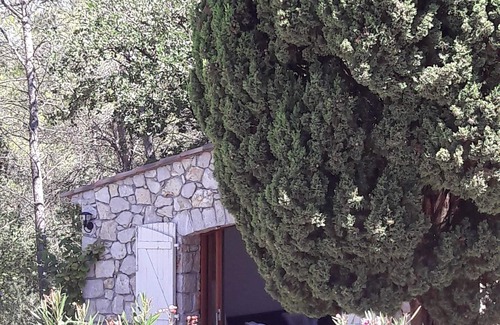Lorgues House | Stone cottage in wooded property with swimming pool