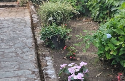 Petreto-Bicchisano House | Stone house