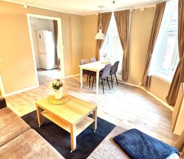 Trondheim City Centre Apartment | Stor attraktiv studioleilighet i sentrum