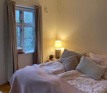 Odense House | Stort værelse udlejes i herskabslejlighed midt i Odense by